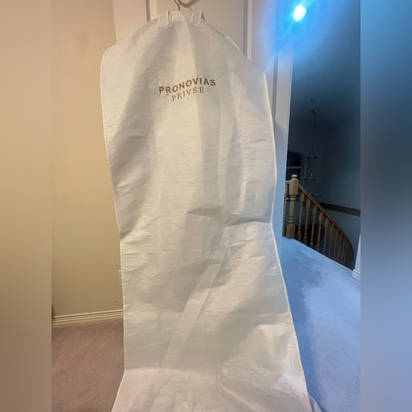 Pronovias Ermin Dress - Picture 3 of 3